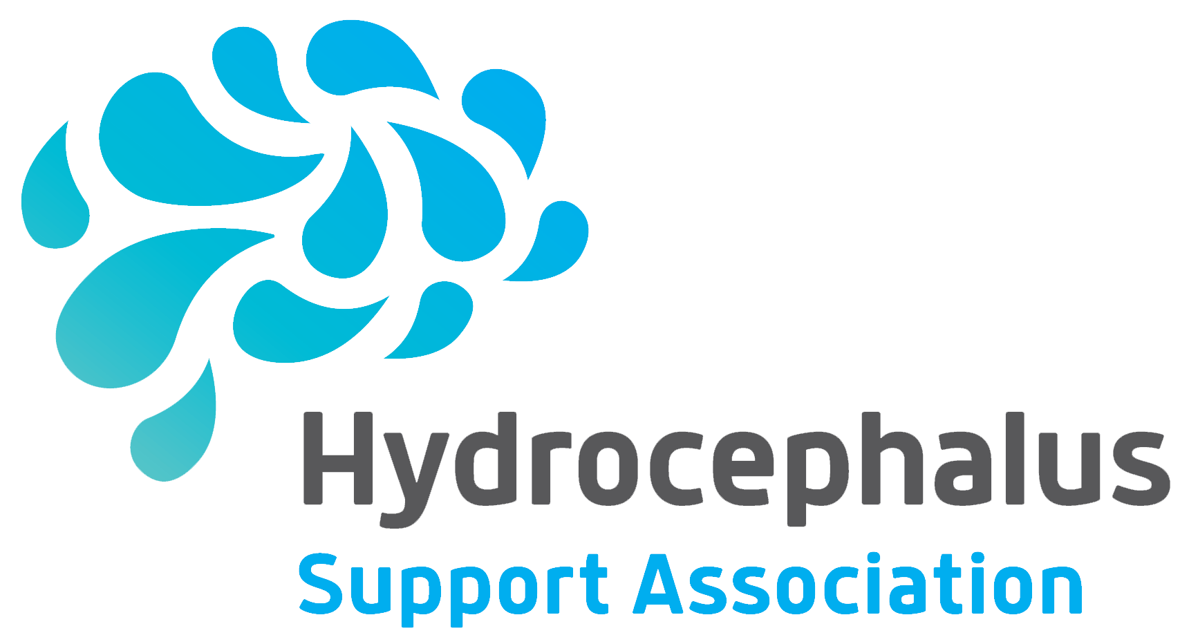 The Hydrocephalus Support Association